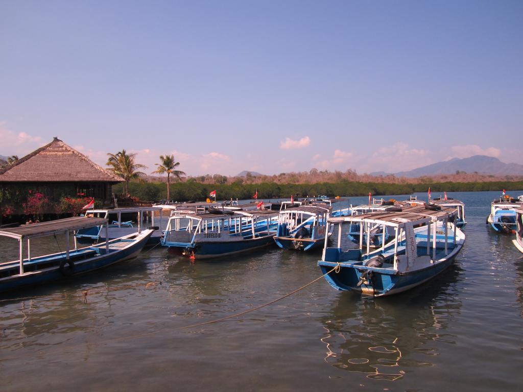 La Bella Guest House Pemuteran  Ngoại thất bức ảnh